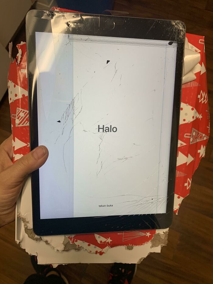 When Your Puppy Chews Your Son’s Big Gift On Christmas Eve