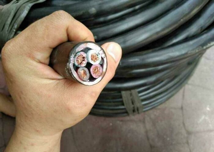 Forbidden Maki Sushi