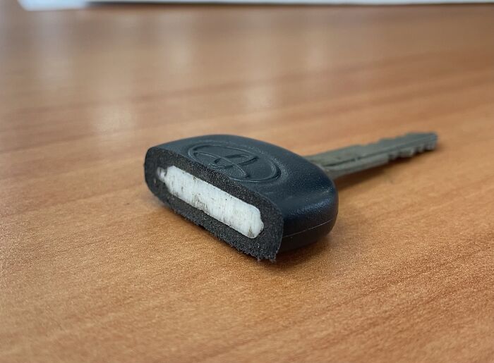 Forbidden Oreo