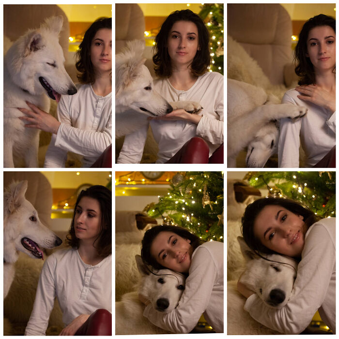 Dogs-Ruined-Christmas-Photos