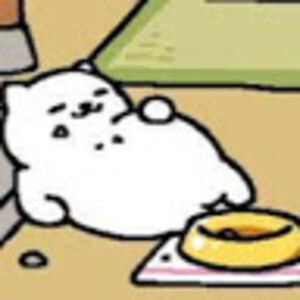 jonahnetburn-ducker avatar