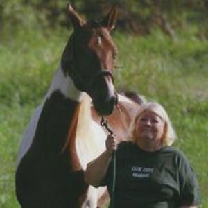 celticcrossarabians avatar