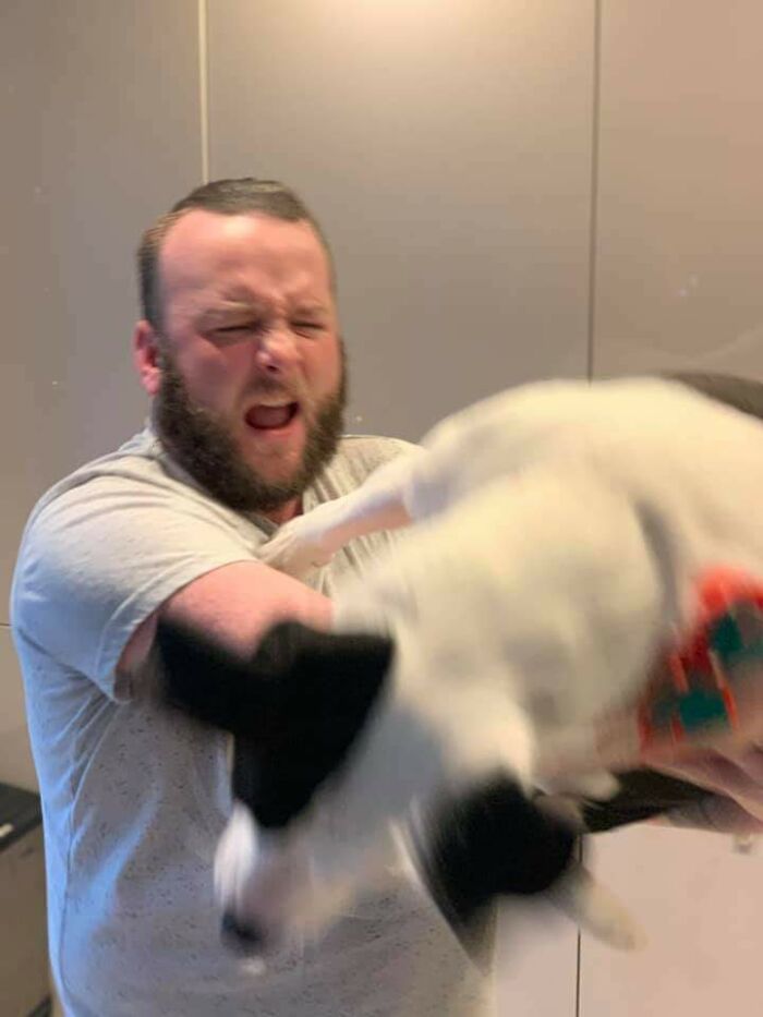 Tried To Take A Nice Picture With My Dog For Xmas. She Objected By Clawing My Nip