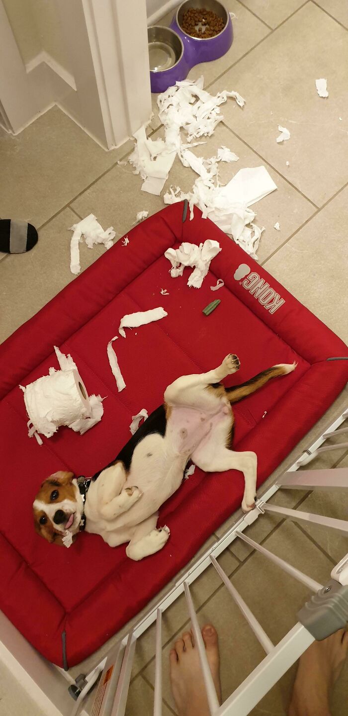 Heard Something During The Christmas Dinner, Came Back To This