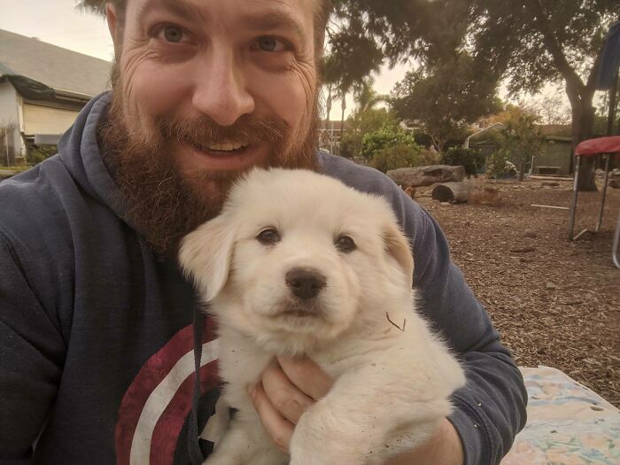 I'm A 38-Year-Old Man Having My Best Christmas Ever Because I Finally Got A Baby Polar Bear. Say Hi To Nala
