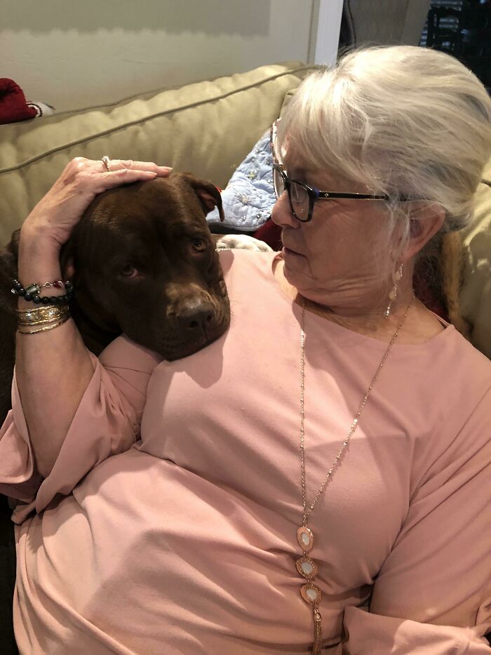 My Rescue Dog Usually Doesn’t Like Strangers, But When My Grandma Came Over For Christmas My Dog Loves Her