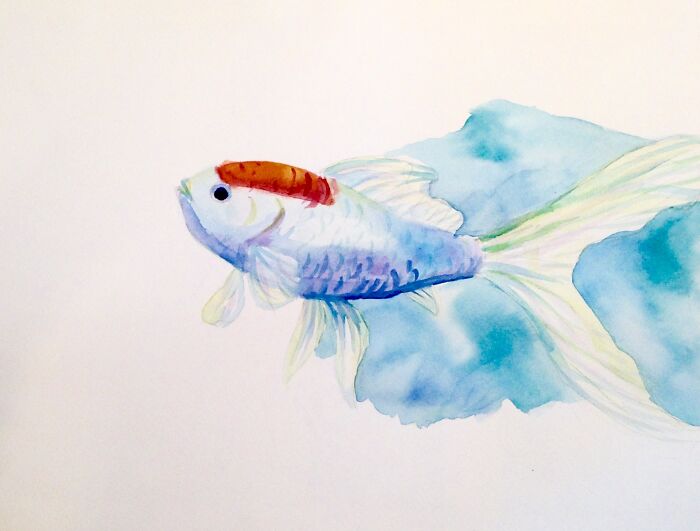 A Tribute To My Passed Goldfish