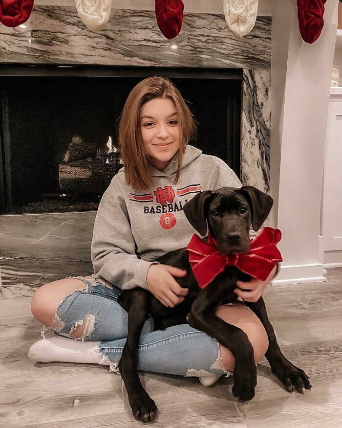 Meet Koda, The Great Dane. My Daughter’s Dream Dog And Christmas Present. I’ve Been Saying "No" For Years. I Caved