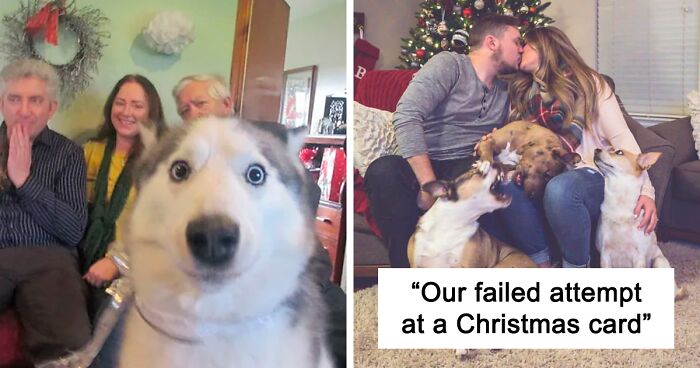 39 Christmas Pics That Were Supposed To Be Nice Until The Dog Showed Up