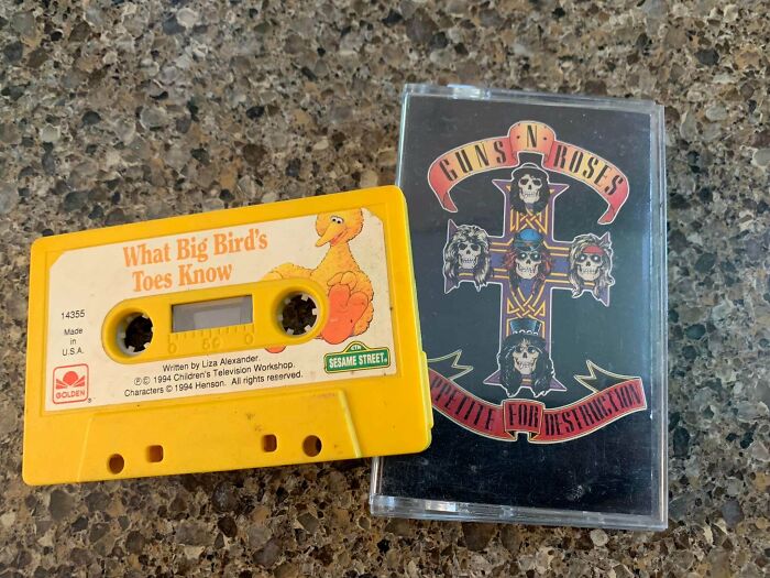 Disappointing Thrift Shop Purchase Today... My Fault For Not Looking Inside