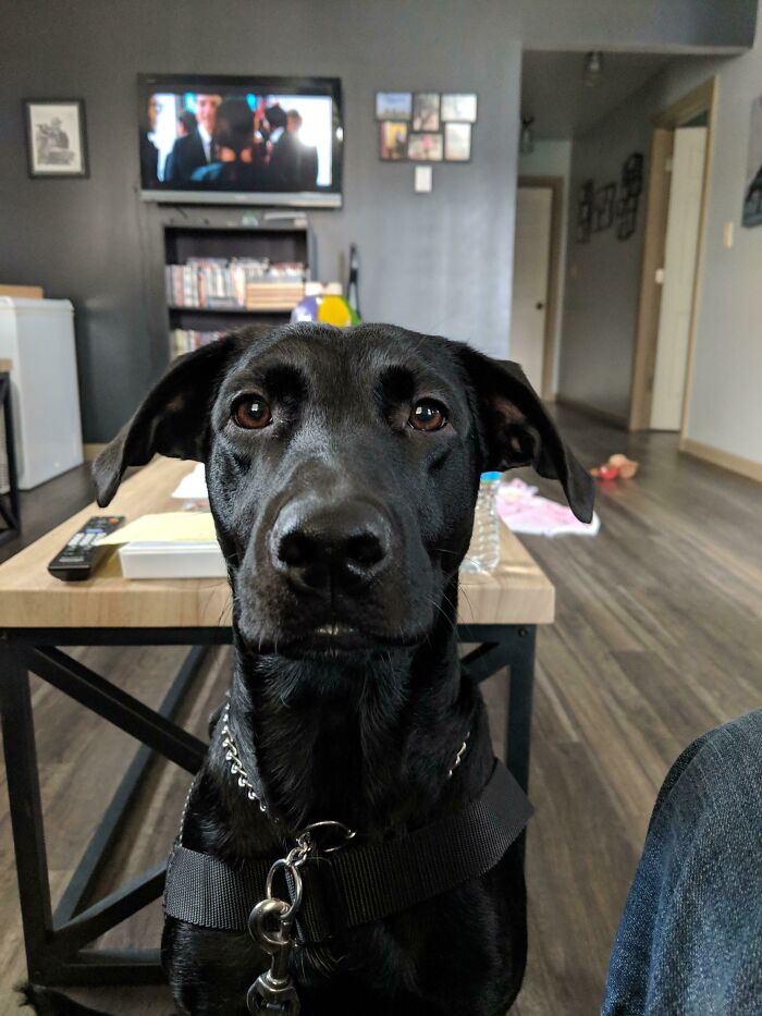 Last Year, I Spent Christmas With A Gun In My Mouth. This Year, We Grilled Steaks And Played Catch. She Has Given Me My Life Back