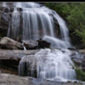 isabellawilson avatar