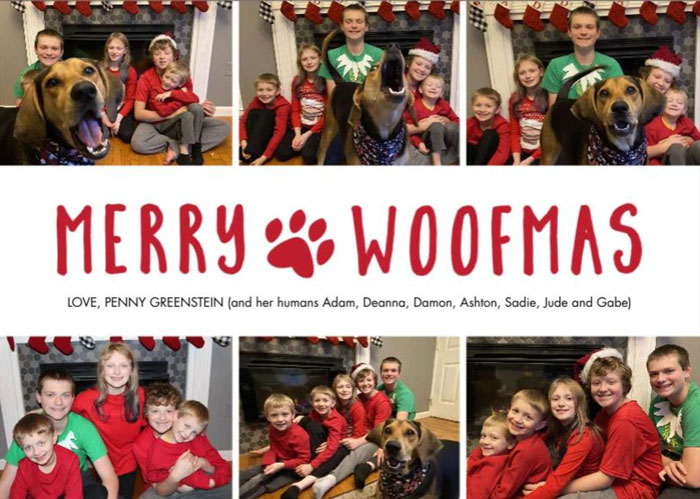 Dog Shamelessly Photobombs Every Single Family Christmas Pic, Ends Up Creating The Perfect Christmas Card