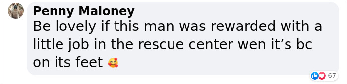 Homeless Man Rushes Into A Burning Animal Shelter - Saves Every Animal Homeless Man Rushes Into A Burning Animal Shelter - Saves Every Animal