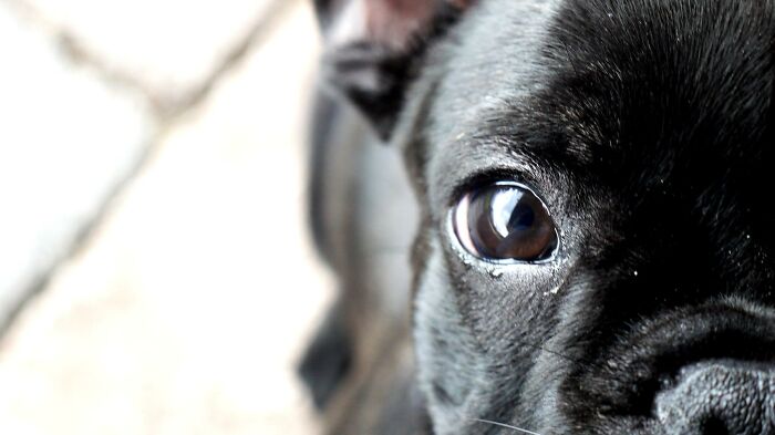 Rüdiger, Who Got An Eye Of You ;-)