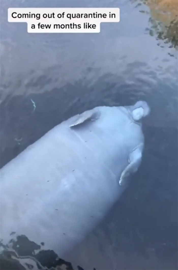 Chunky!?? Yes. But Wow. I Know These Things Get Big...this One Is Huge! I Just Kept Thinking Of This Subreddit When I Watched It!