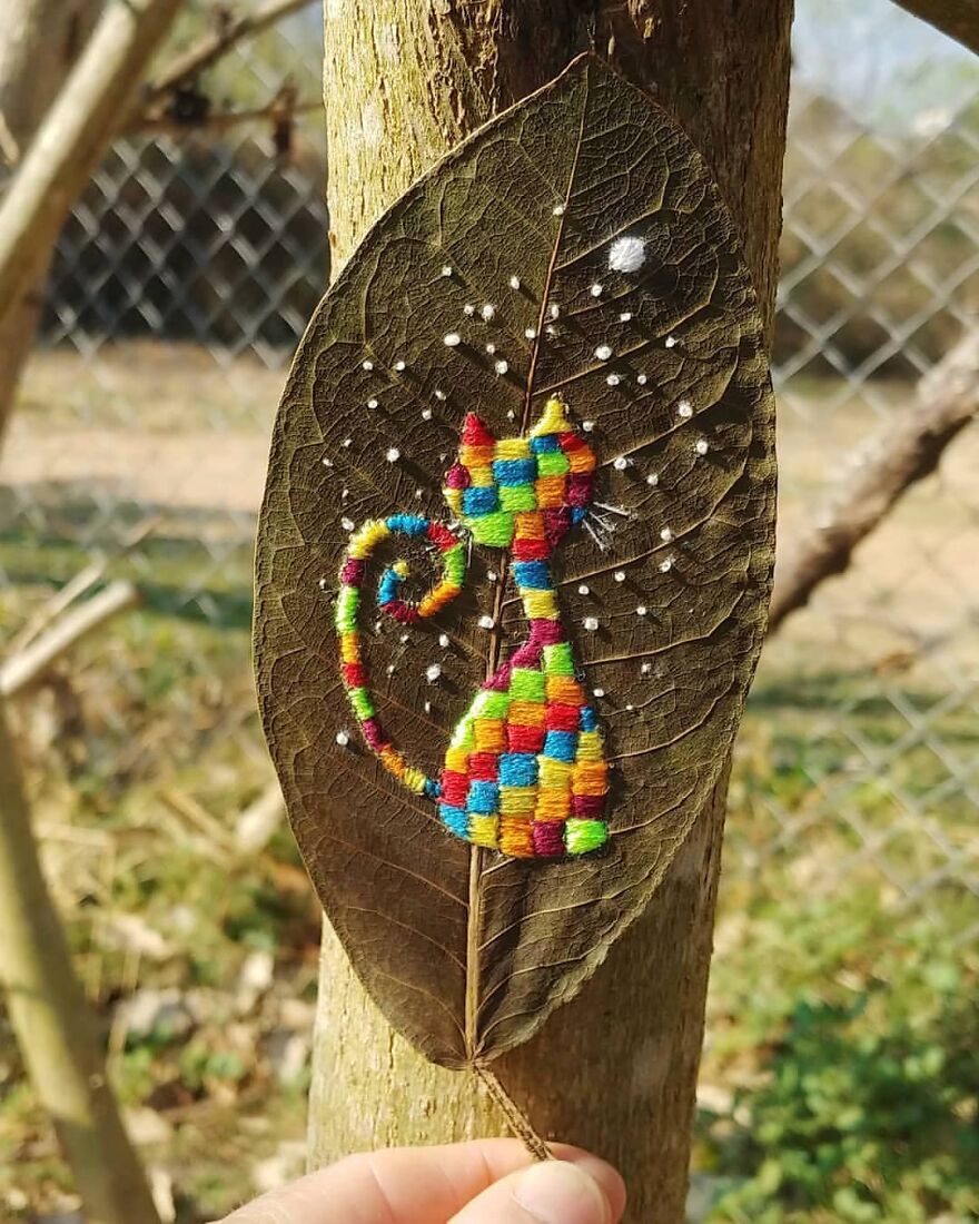 What Nature Discards, This Brazilian Artist Takes The Opportunity To Beautify Life