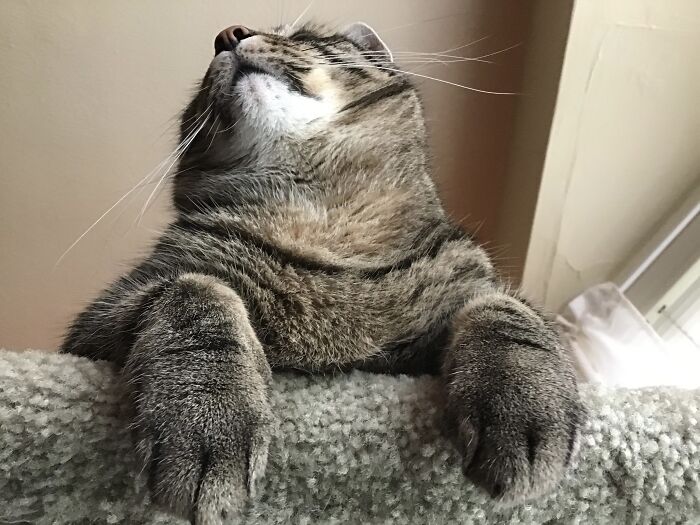 Every Time When I Try To Take A Picture “What Was That?”