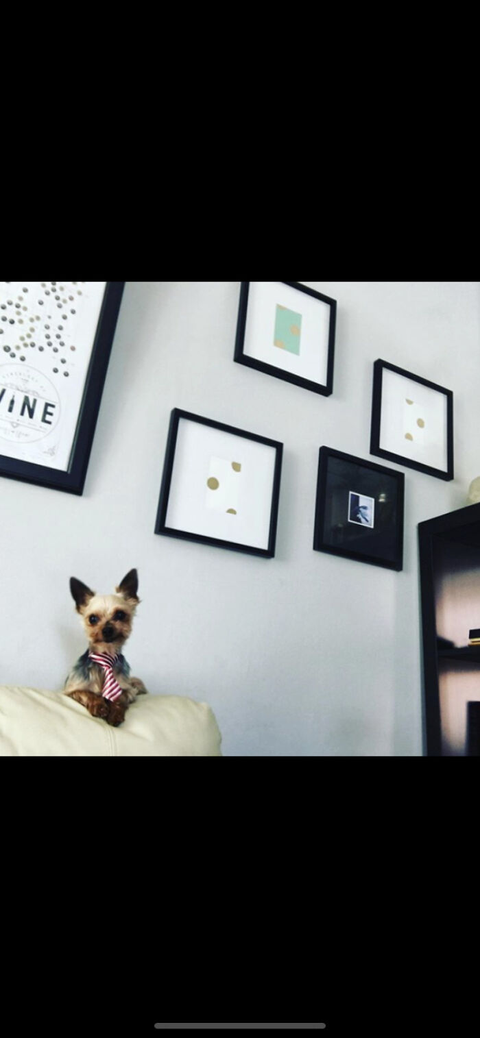 Fancy Jake/ Art Show Curator?