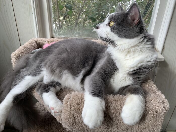 One Of The Few Pics Where He’s Not Being A Weirdo Or Acting Nutso