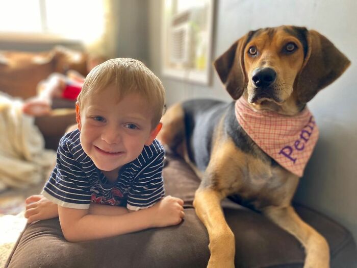 Dog Shamelessly Photobombs Every Single Family Christmas Pic, Ends Up Creating The Perfect Christmas Card Dog Shamelessly Photobombs Every Single Family Christmas Pic, Ends Up Creating The Perfect Christmas Card