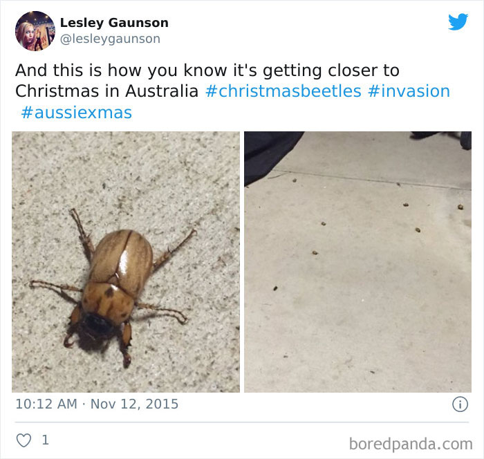 Australian-Christmas-Tweets
