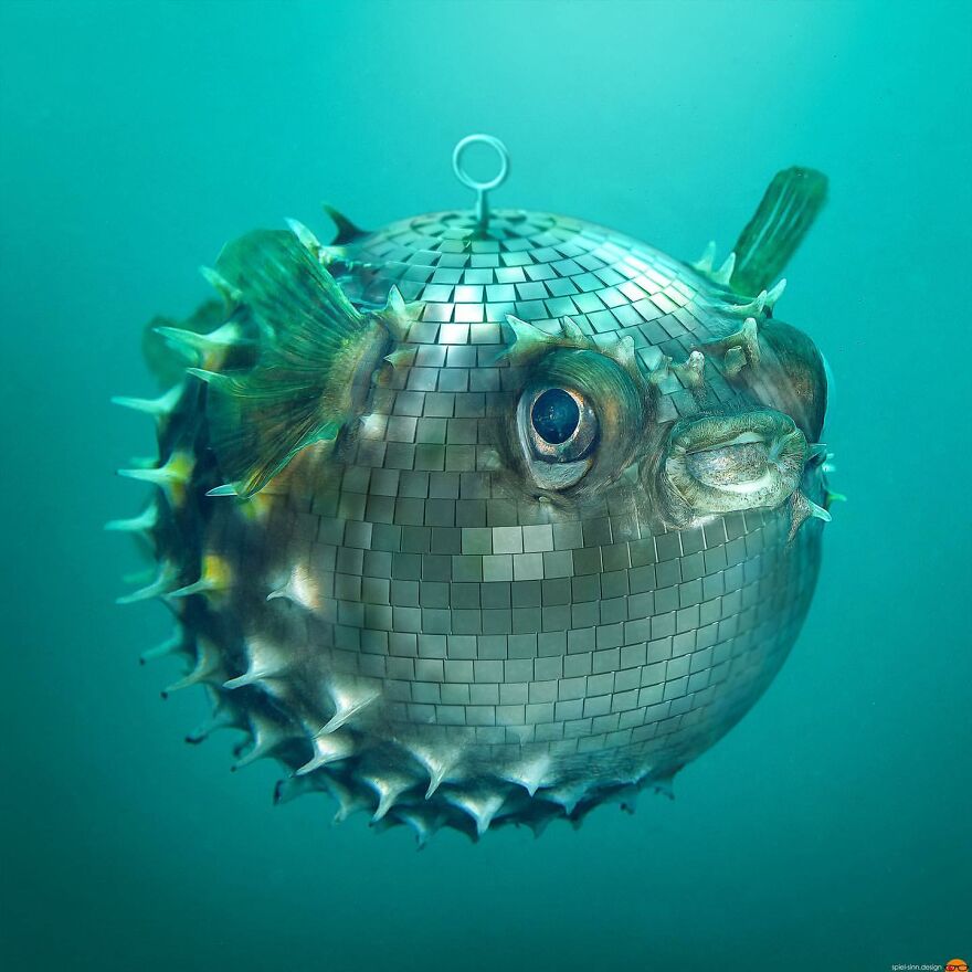 Digital Artist Makes Amazing Image Edits Using Animals, Fruits And Vegetables (120 Pics)