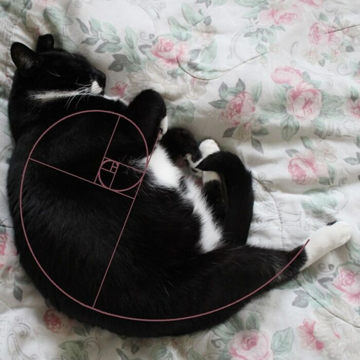 Perfection Incarnate