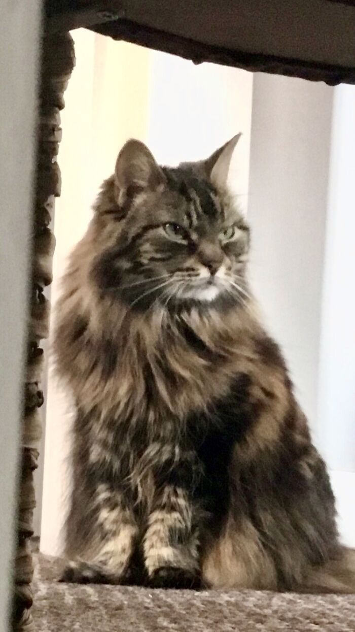 This Face Happens Every Time I Get Ready To Go Out!