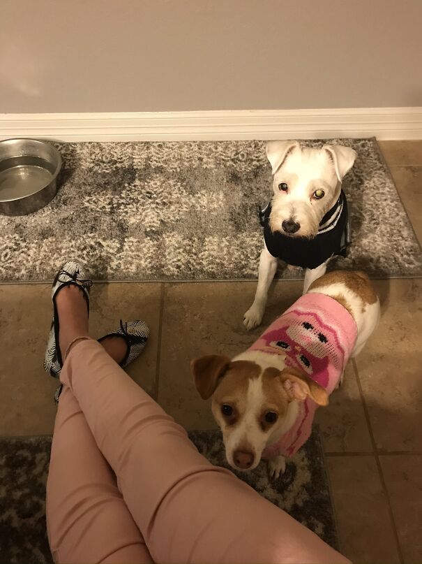 Not A Costume But Still An Outfit!