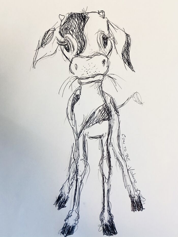 ‘Cow To Be’. Texas Calf’s Are Just Giant Furry Toys!