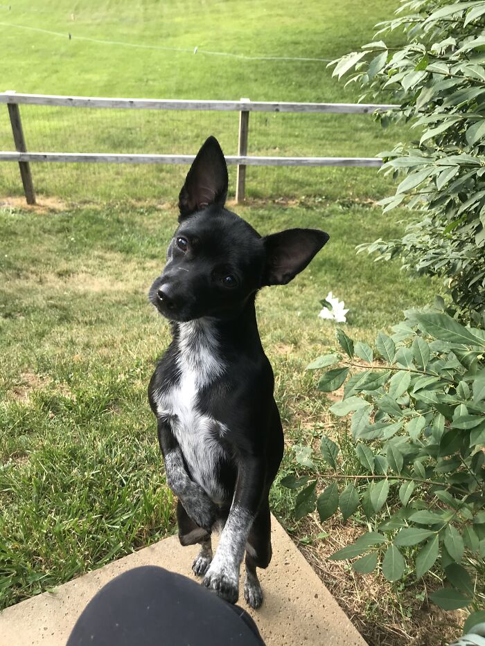 Somebody Say Treat ???