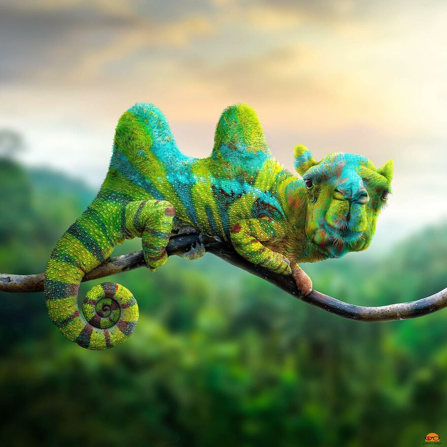 Digital Artist Makes Amazing Image Edits Using Animals, Fruits And Vegetables (120 Pics)