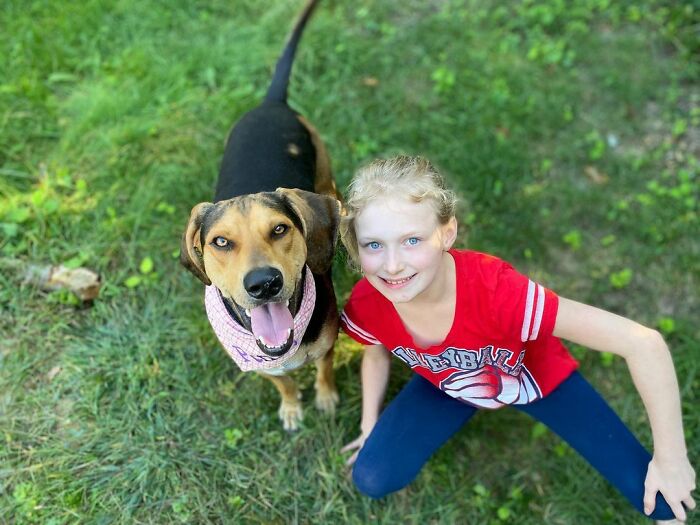 Dog Shamelessly Photobombs Every Single Family Christmas Pic, Ends Up Creating The Perfect Christmas Card