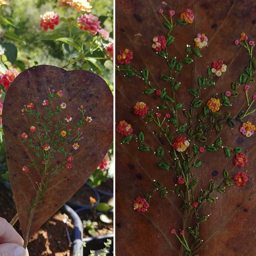 What Nature Discards, This Brazilian Artist Takes The Opportunity To Beautify Life