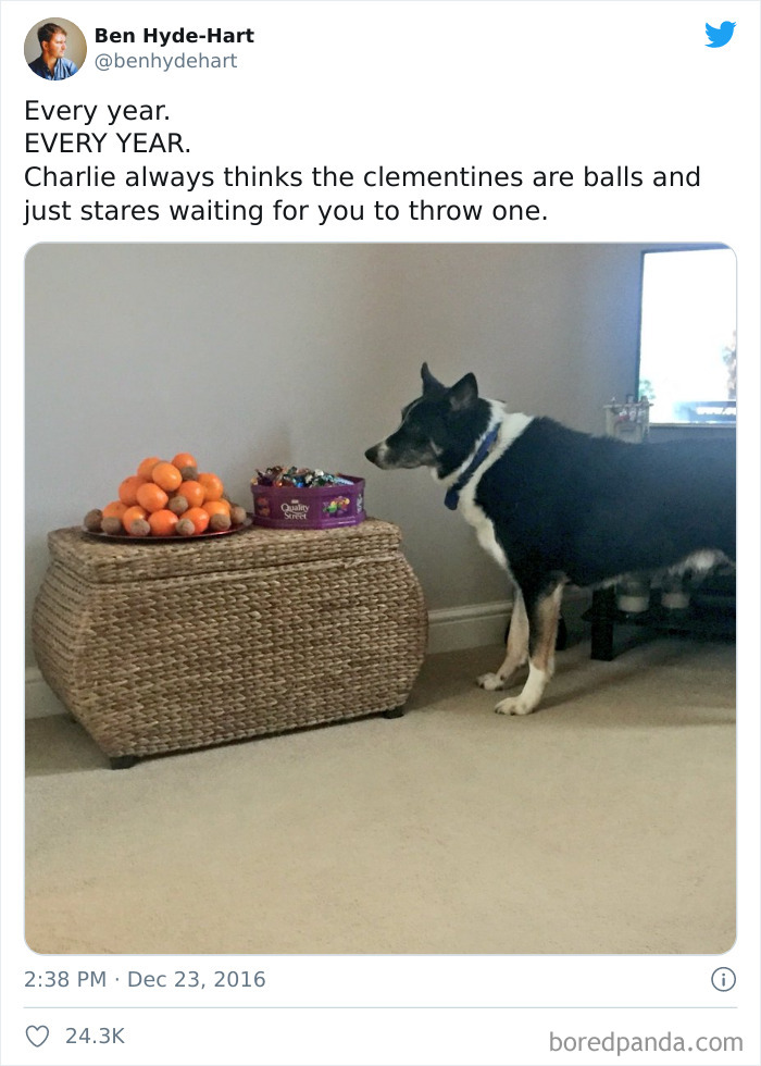 Funny-Christmas-Tweets