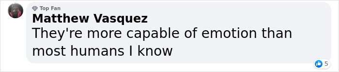 2 Widowed Penguins Hugging Each Other Wins 2020 Ocean Photography 1st Place Award 2 Widowed Penguins Hugging Each Other Wins 2020 Ocean Photography 1st Place Award