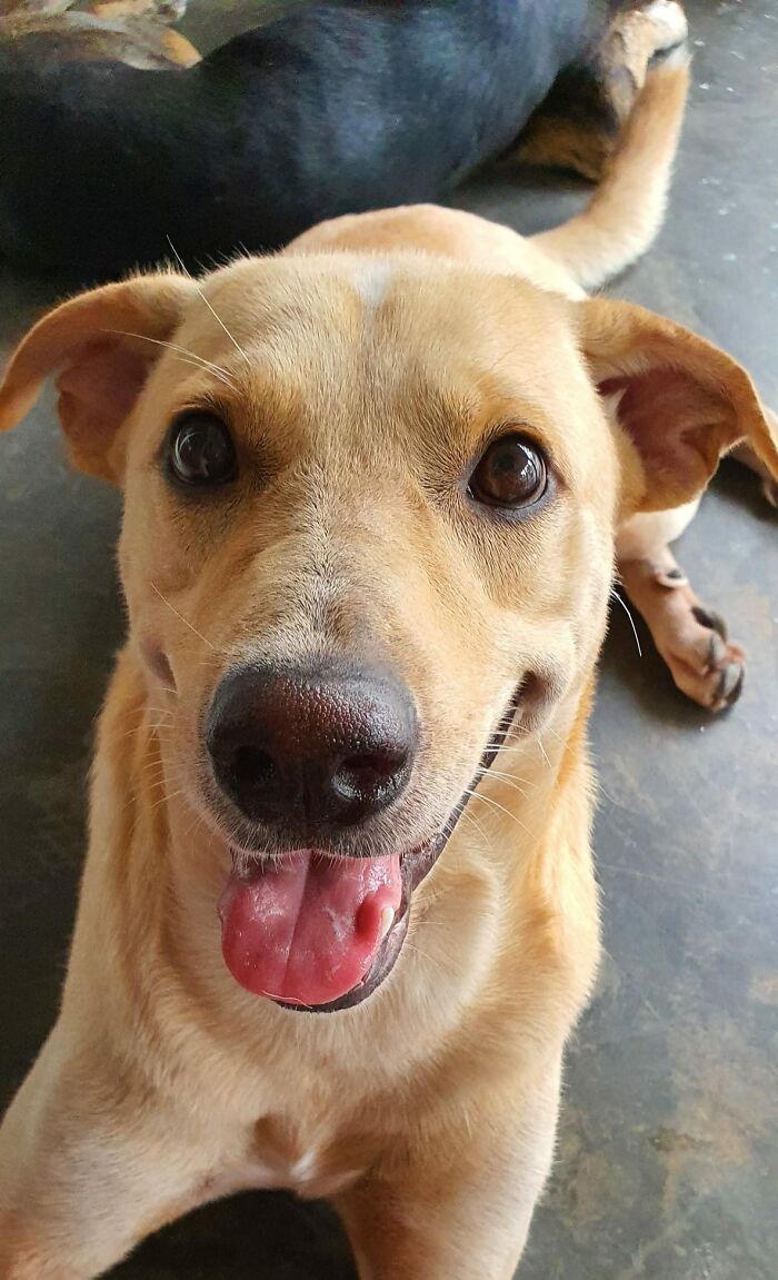 Say Hi To Bai Bai! He Is 2 Years And 7 Months Old!