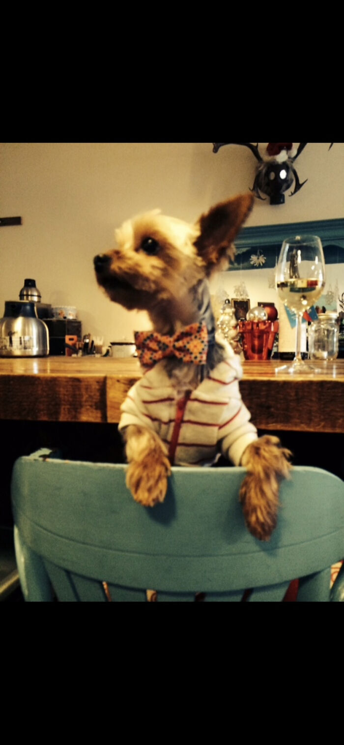 Jake Visiting The Pub