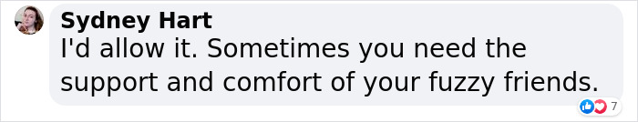 Woman Smuggles A Cat Into Her Classes Because It Didn't Want To Be Left Alone Woman Smuggles A Cat Into Her Classes Because It Didn't Want To Be Left Alone