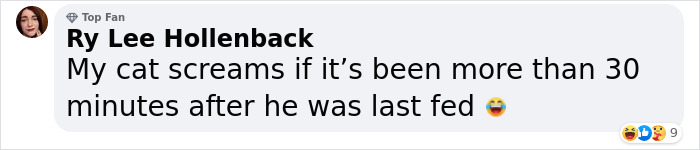 Woman Smuggles A Cat Into Her Classes Because It Didn't Want To Be Left Alone Woman Smuggles A Cat Into Her Classes Because It Didn't Want To Be Left Alone