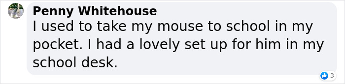 Woman Smuggles A Cat Into Her Classes Because It Didn't Want To Be Left Alone Woman Smuggles A Cat Into Her Classes Because It Didn't Want To Be Left Alone