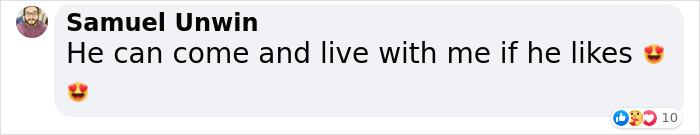 Woman Smuggles A Cat Into Her Classes Because It Didn't Want To Be Left Alone