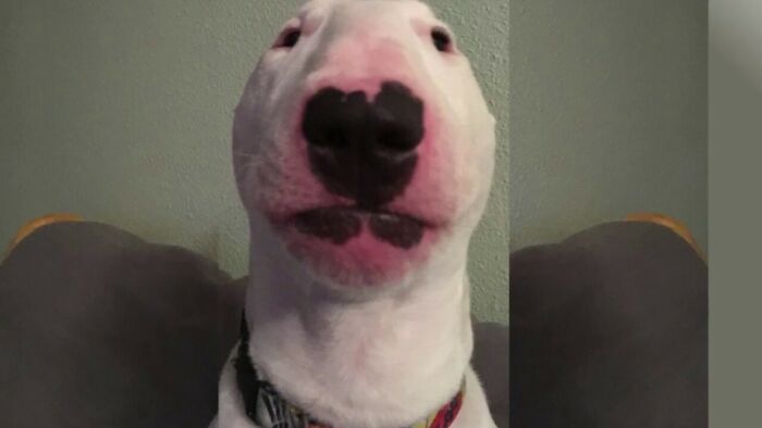 What Happened To My Walter