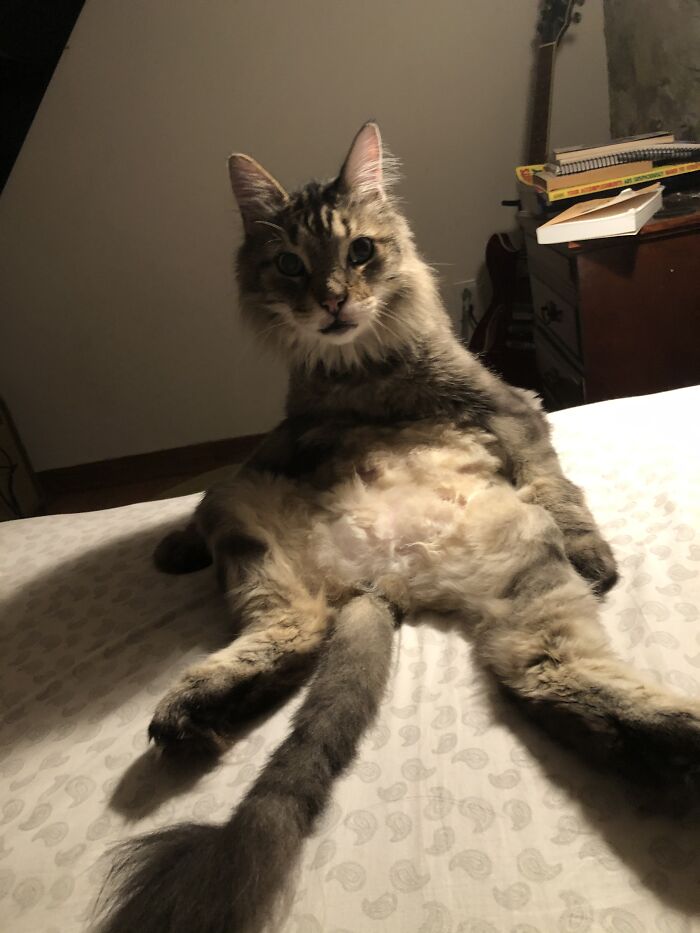 What? You Don’t Like The Sound Of Me Licking My Junk In The Middle Of The Night?