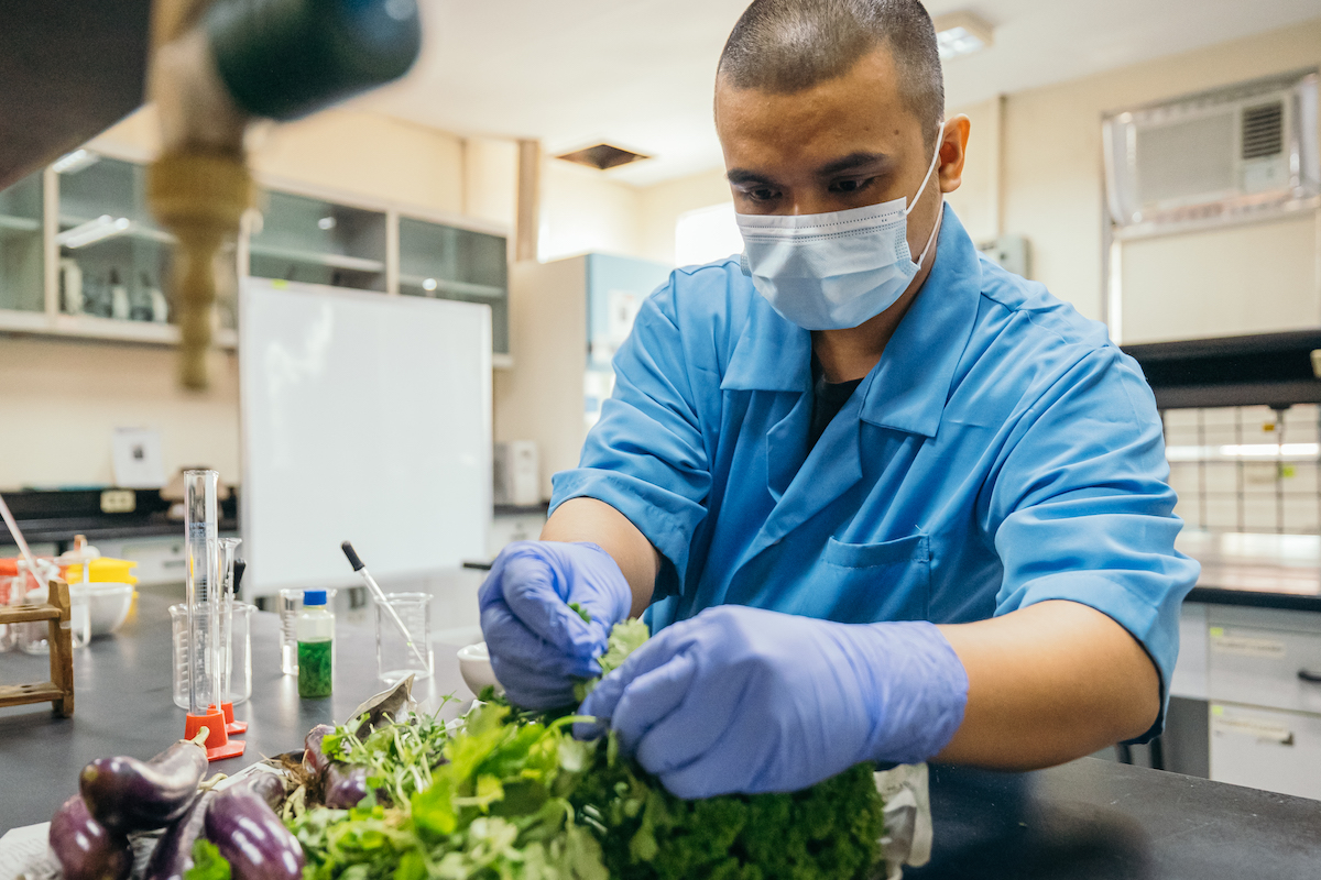 27-Year-Old Student Creates Solar Panels Made From Food Waste That Can Produce Energy Even On Cloudy Days