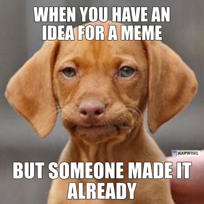 I Made It On Kapwing