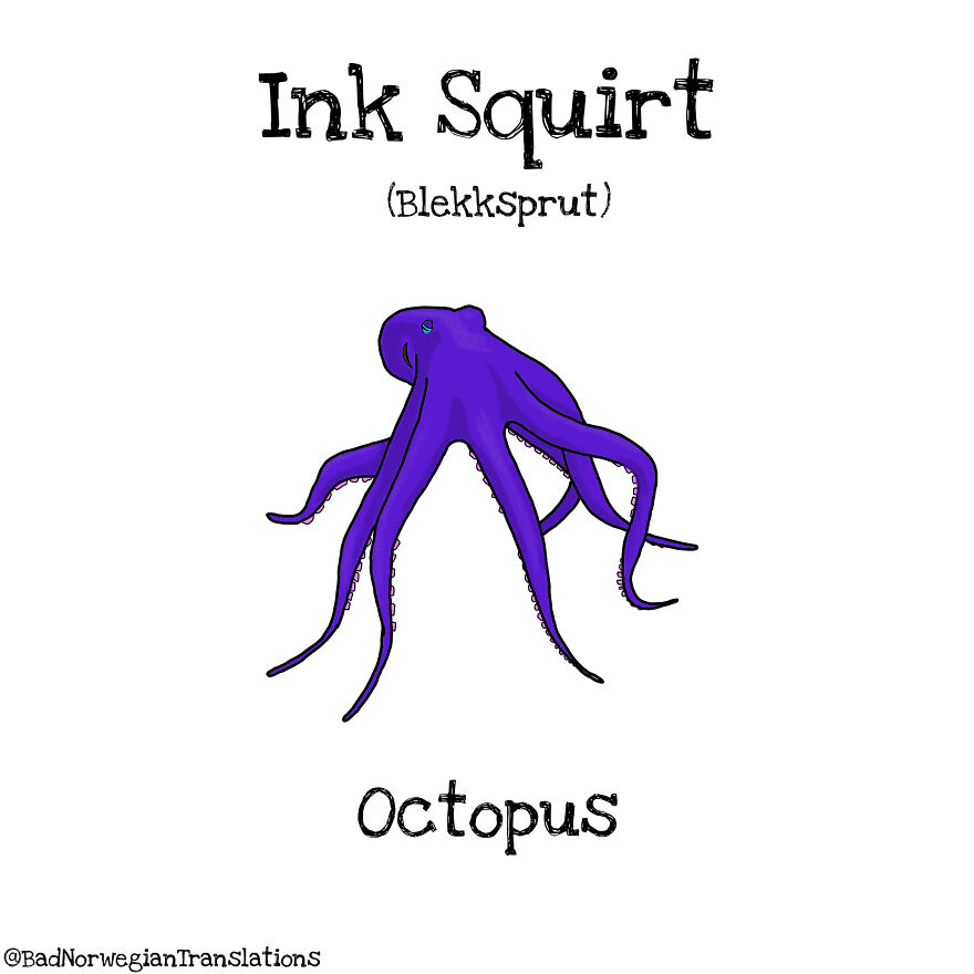 The Simplicity Of The Norwegian Language