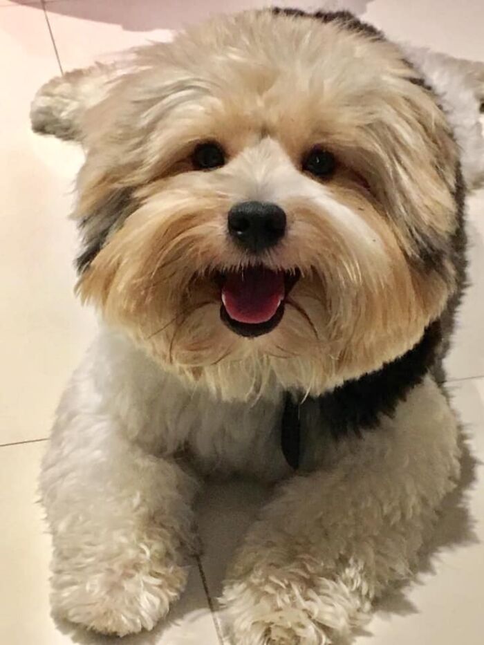 Another Smile From Patch 