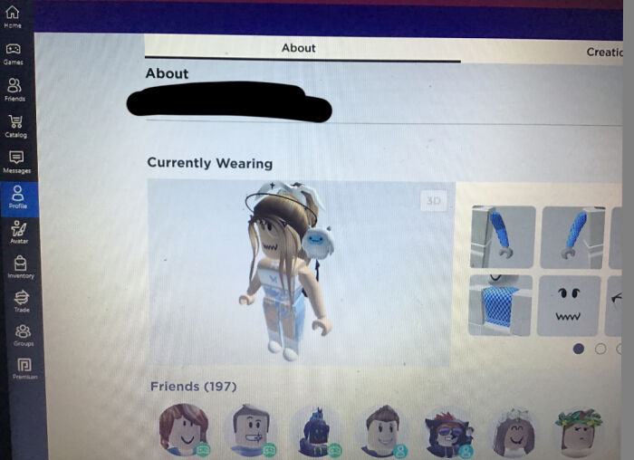 Someone Sed They Could Draw It So Here :d